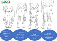 Desenvolvimento Fisiológico